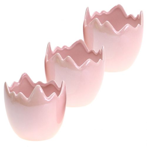 Omhoog genade plotseling Floristik24.nl Plantenbak eierschaal roze parelmoer Ø8cm H9cm 3st -  goedkoop online kopen