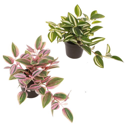 Tradescantia Groene kunstplant in pot H19,5cm 2st