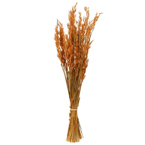 Artikel Dry Deco Haver Deco in Oranje L64cm 70-75g 2st