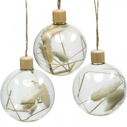 Vervagen details zin Floristik24.nl Kerstballen glazen decoratiebal gevuld met gedroogde bloemen  Ø8cm 3st - goedkoop online kopen
