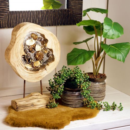 Rustieke houten ring op standaard - Natuurlijke houtnerf, 54 cm - Uniek sculptuur voor een stijlvolle woonomgeving