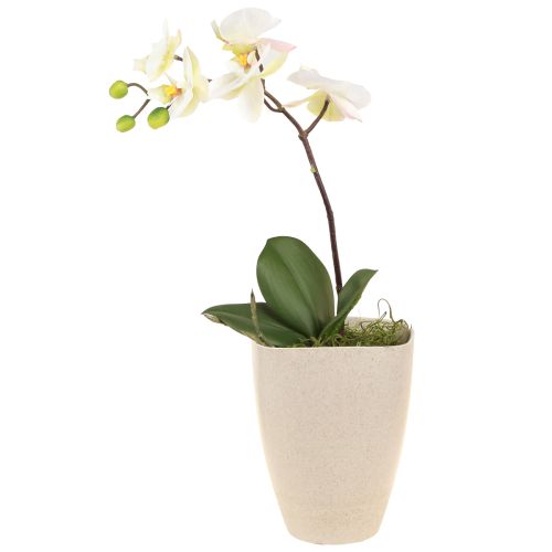 Floristik24 Orchideepot bloempot kunststof beige gemêleerd 13,5x13cm H16,5cm 4st