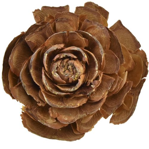 Artikel Cederkegels gesneden als roos cederroos 4-6cm naturel 50st.