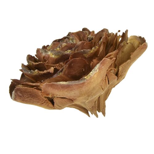 Artikel Cederkegels gesneden als roos cederroos 4-6cm naturel 50st.