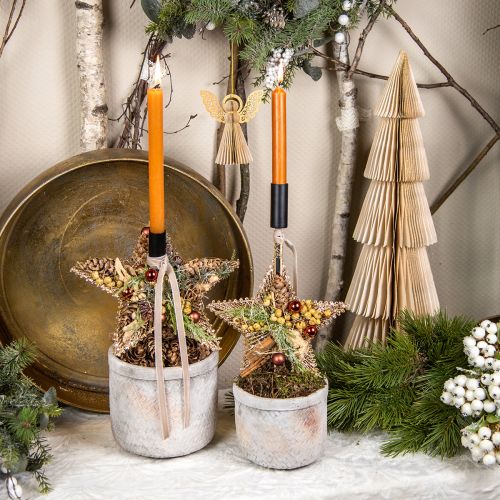 Floristik24 Kerstboomversieringen, adventsversieringen, sterhangers goud B15cm 8 st