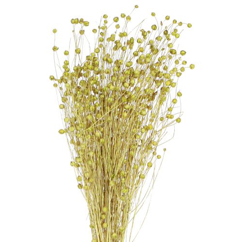 Deco Vlas Gedroogde Droogbloemen Olijfgroen 50g