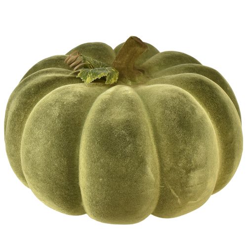 Floristik24 Decoratieve pompoen gevlokt groen – fluweelzachte, prachtige herfstdecoratie 32cm