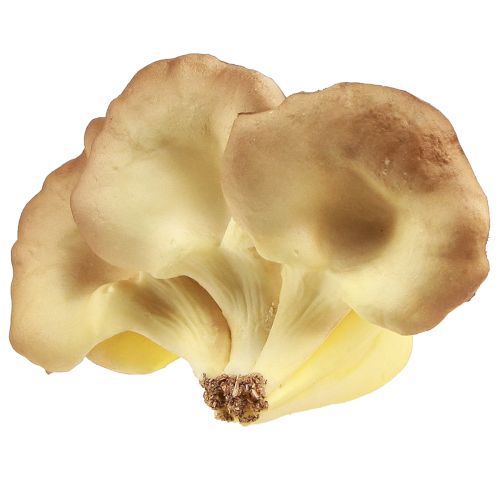 Artikel Decoratieve paddenstoelen lichtbruine kunstoesterzwammen 19×12×9cm