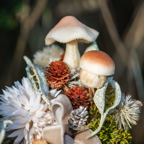 Floristik24 Decoratieve paddenstoelen voor het plakken van bruine decoratieve paddenstoelen herfst 3,5/5,5cm 16 stuks