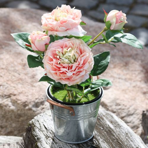 Decoratieve roos in pot, romantische zijden bloemen, roze pioenroos