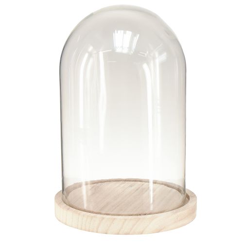 Artikel Glazen stolp ovale houten voet glaslatei helder naturel Ø17cm H24cm