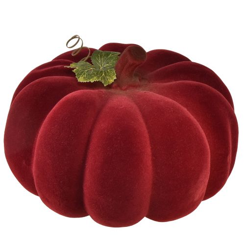 Artikel Herfstdecoratie pompoen geflockt rood bordeaux - pompoendecoratie voor een unieke herfstsfeer 32cm