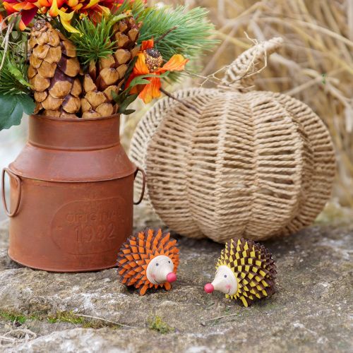 Egel decoratief houten decoratiefiguur herfst oranje geel 8×7×6cm 4st