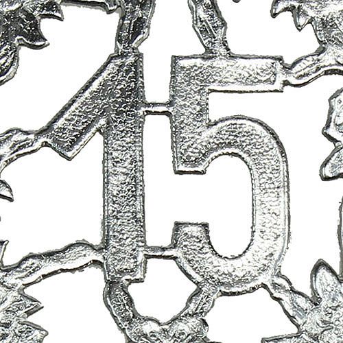 Floristik24 Jubileumnummer 15 zilver
