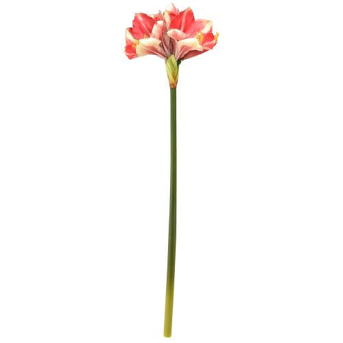 Artikel Kunstamaryllis roze en crème – bloem met grote stengel 76 cm