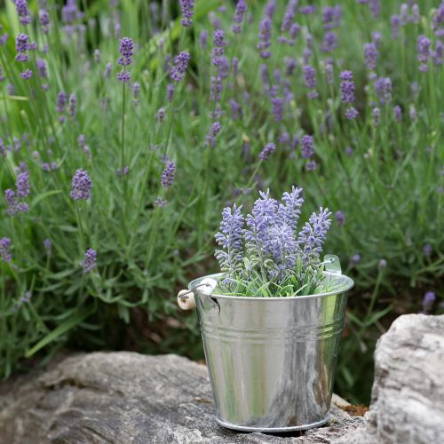 Artikel Mini lavendel in pot kunstplant lavendel decoratie H16cm