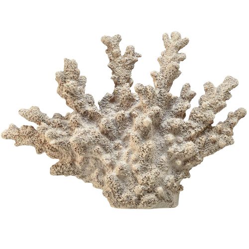 Gedetailleerde koraaldecoratie van polyresin in grijs - 26 cm - maritieme elegantie voor uw huis