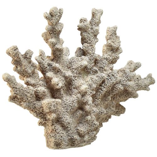 Artikel Gedetailleerde koraaldecoratie van polyresin in grijs - 26 cm - maritieme elegantie voor uw huis