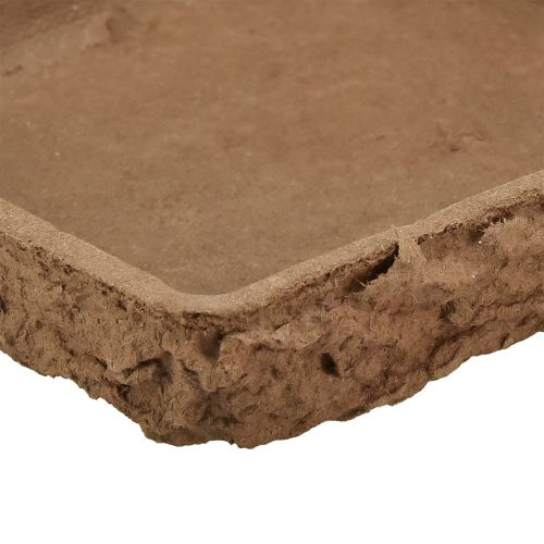 Artikel Oasis Biolit ondervloer ½ steekschuimsteen 13×13×2cm 12 st