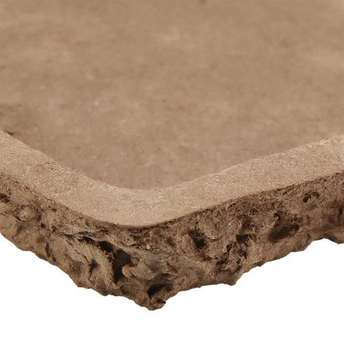 Artikel Oasis Biolit ondervloer voor steekschuimstenen 25×14×2cm 11st