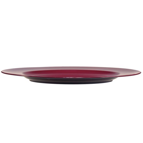 Artikel Veelzijdige donkerrode plastic borden – 28 cm, perfect voor decoratie en buitengebruik – 4 stuks