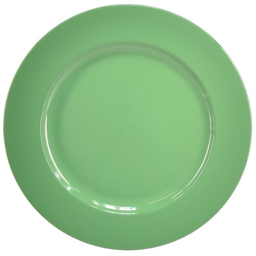 Stevig groen plastic bord - 28 cm, perfect voor dagelijkse decoratie en buitenactiviteiten - 4 stuks