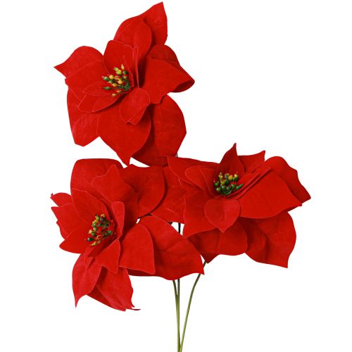 Floristik24 Prachtige kerstster - Poinsettia in rood - 46 cm 6st 2 bos