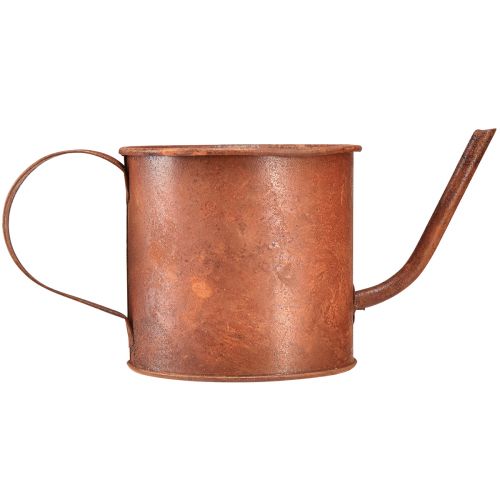 Artikel Roest decoratieve gieter mini plantenpot metaal Ø10cm H9cm