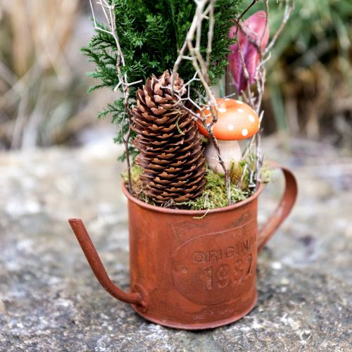 Floristik24 Roest decoratieve gieter mini plantenpot metaal Ø10cm H9cm