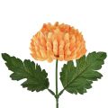 Floristik24 Chrysant oranje Ø7cm L18cm 1 st