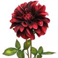 Floristik24 Kunstbloem dahlia rode zijden bloem herfst 78cm Ø3 / 15cm