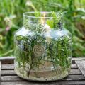 Floristik24 Glazen Vaas Rond Bloemenvaas Groot 100% Gerecycled Glas H20 Ø17cm