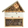 Floristik24 Insectenhotel insectenhuis lichtbruin 25cmx8,5cmx32cm