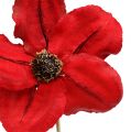Floristik24 Houten bloem als plug rood Ø9cm - 12cm L45cm 15st