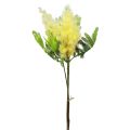 Floristik24 Kunstplant zilver acacia mimosa geel bloeiend 53cm 3st