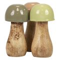 Floristik24 Houten champignons decoratieve champignons hout beige, groen Ø5cm H10,5cm 6st
