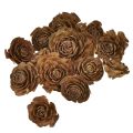 Floristik24 Cederkegels gesneden als roos cederroos 4-6cm naturel 50st.