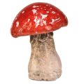 Floristik24 Charmante keramische paddenstoeldecoraties in een set van 3 - rood met witte stippen, 8,6 cm - ideale tuindecoratie