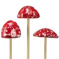 Floristik24 Paddestoelen op stokje, rood, 4cm, set van 6 - decoratieve tuinpaddestoelen voor herfstdecoratie