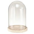 Floristik24 Glazen stolp ovale houten voet glaslatei helder naturel Ø17cm H24cm