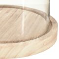 Floristik24 Glazen stolp ovale houten voet glaslatei helder naturel Ø17cm H24cm