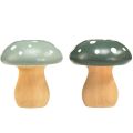 Floristik24 Houten paddenstoelen decoratieve paddenstoelen houten vliegenzwammen groen mint 5cm 8st