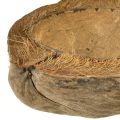 Floristik24 Kokosnoot als plantenschaal natuurlijke plantenpot 20cm 5st