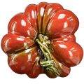 Floristik24 Glanzende keramische pompoen in helder roodoranje met groene steel - 21,5 cm - ideale herfstdecoratie