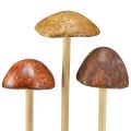 Floristik24 Decoratieve paddenstoelen op stok, bruin, 5,5 cm, 6 stuks - herfsttuin- en woonkamerdecoratie