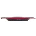 Floristik24 Veelzijdige donkerrode plastic borden – 28 cm, perfect voor decoratie en buitengebruik – 4 stuks
