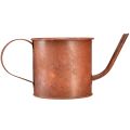 Floristik24 Roest decoratieve gieter mini plantenpot metaal Ø10cm H9cm